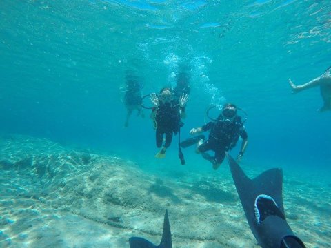 Scuba Dive Paros Diving καταδυσεις center Greece.jpg4