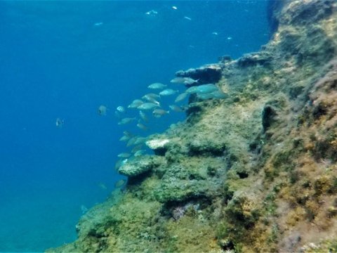 Scuba Diving Syvota καταδυσεις deep Greece blue sivota divers center.jpg12