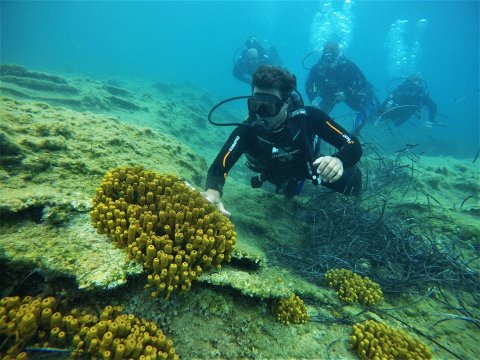 Scuba Diving Syvota καταδυσεις deep Greece blue sivota divers center.jpg4