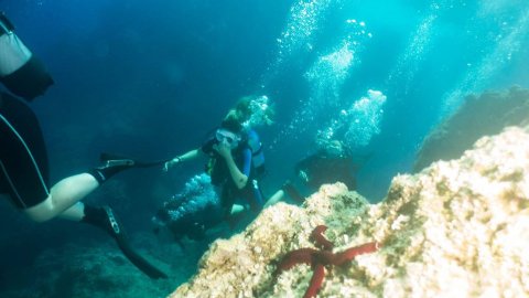Try Scuba Diving Lefkada greece lefkas