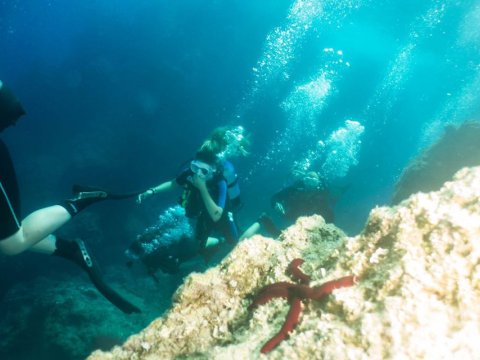 Try Scuba Diving Lefkada greece lefkas