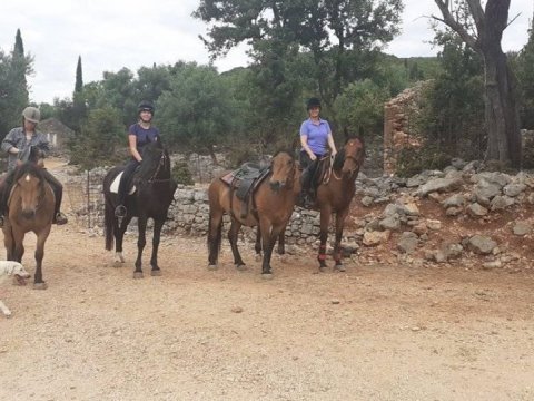 Horse Riding Kefalonia On The Beach Ιππασια αλογα Greece.jpg12