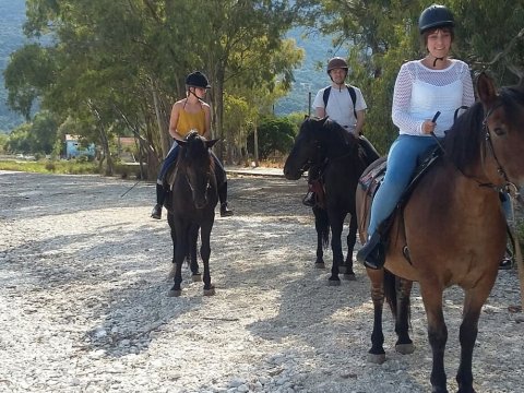 Horse Riding Kefalonia On The Beach Ιππασια αλογα Greece.jpg11