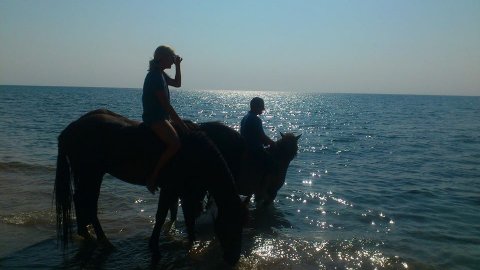 Horse Riding Kefalonia:On The Beach