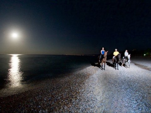 Horse Riding Kefalonia On The Beach Ιππασια αλογα Greece.jpg10