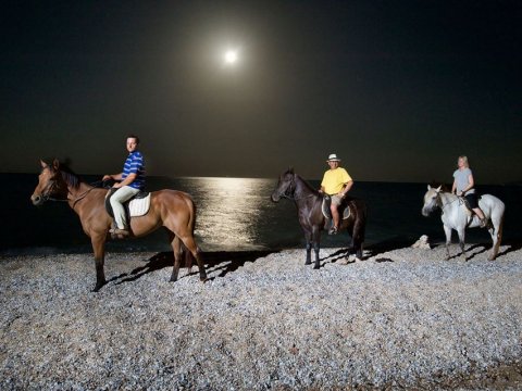 Horse Riding Kefalonia On The Beach Ιππασια αλογα Greece.jpg9