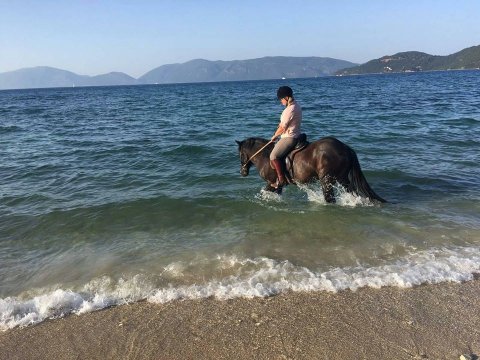 Horse Riding Kefalonia On The Beach Ιππασια αλογα Greece.jpg7