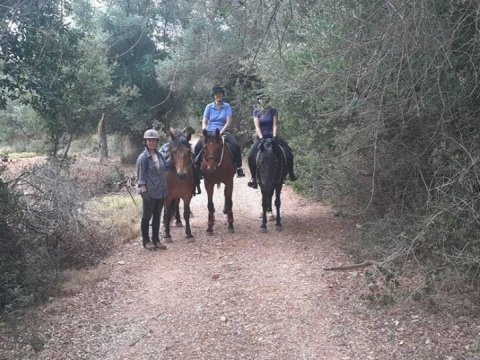 Horse Riding Kefalonia On The Beach Ιππασια αλογα Greece.jpg6