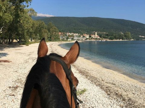Horse Riding Kefalonia On The Beach Ιππασια αλογα Greece.jpg4
