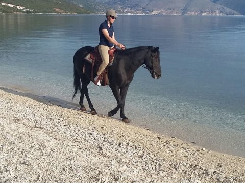 Horse Riding Kefalonia On The Beach Ιππασια αλογα Greece
