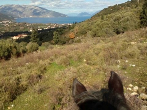 Horse Riding Kefalonia Countryside ιππασια αλογα Greece.jpg10