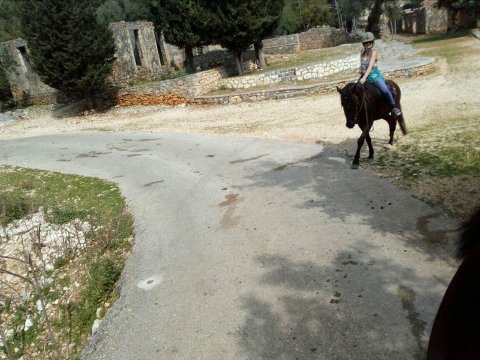 Horse Riding Kefalonia Countryside ιππασια αλογα Greece.jpg9