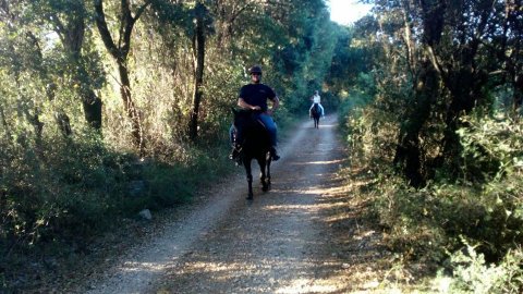 Ιππασία Κεφαλονιά:Στην ύπαιθρο