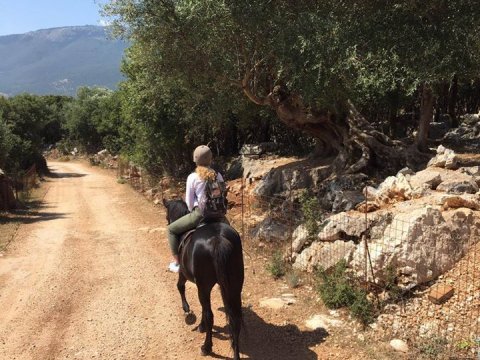 Kefalonia Horse Riding Full Day ιππασια αλογα Greece.jpg10