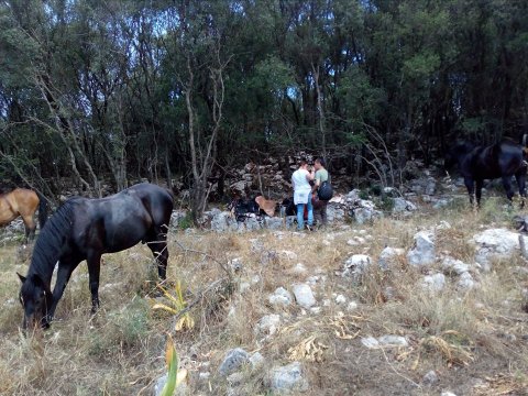 Kefalonia Horse Riding Full Day ιππασια αλογα Greece