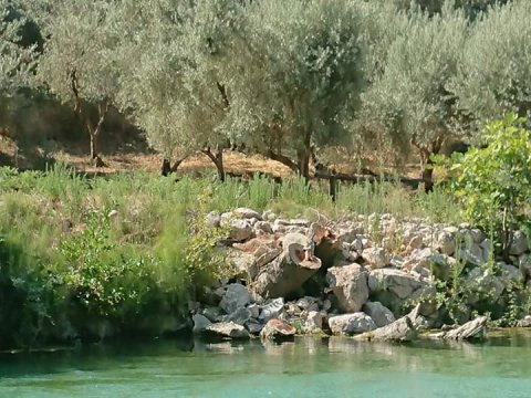 acheron cano kayak acherontas river ποταμος greece magic (2)