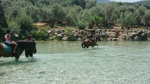 acheron horse riding Greece ιππασια αλογα axerontas ποταμος.jpg2