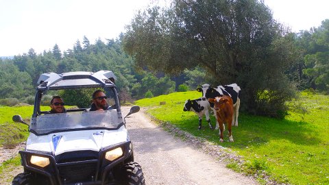 Buggy Safari Tour Rhodes