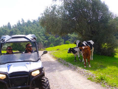 Rhodes Quad Safari ATV adventures Tour Greece ροδος Buggy.jpg10