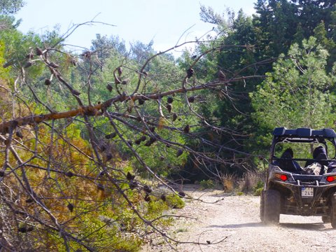 Rhodes Quad Safari ATV adventures Tour Greece ροδος Buggy.jpg9