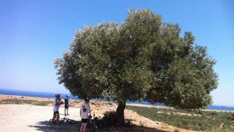 Mountain Bike Tour Rhodes  Greece Roads cycle ποδηλασια Ροδος 