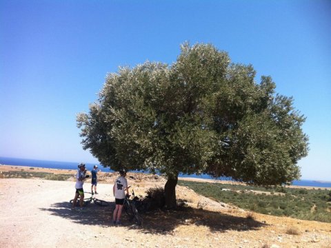 Mountain Bike Tour Rhodes  Greece Roads cycle ποδηλασια Ροδος 