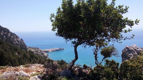 Hiking Tour Rhodes Tsambika Hills