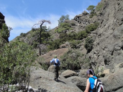 Hiking Valley Rhodes Greece Roads Ροδος Πεζοπορια