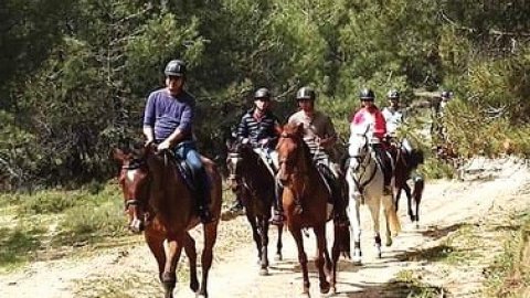 Horse Riding Rhodes Greece Roads Ιππασια Ροδος Αλογα.jpg2