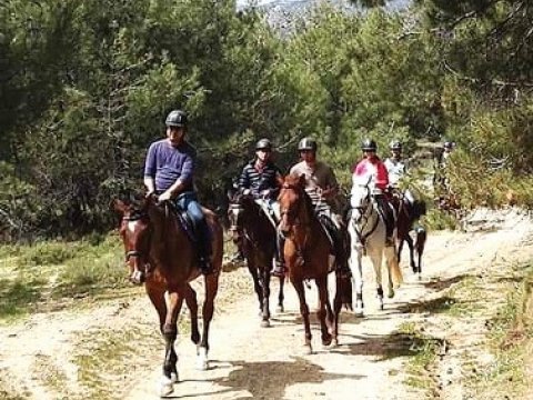 Horse Riding Rhodes Greece Roads Ιππασια Ροδος Αλογα.jpg2