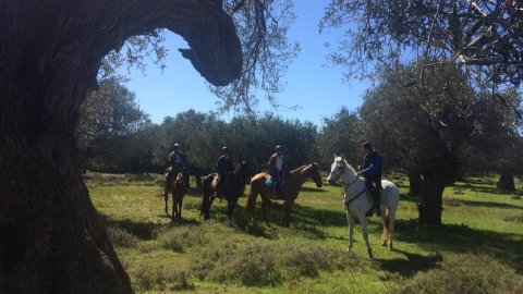 Horse Riding & Hiking Rhodes