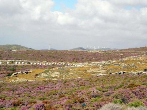 Off Road 4x4 Jeep Safari Tour Andros Greece.jpg6