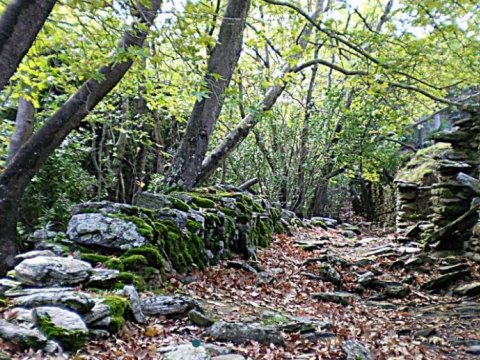 Hiking Andros Watermills Frousseoi Greece πεζοπορια.jpg6