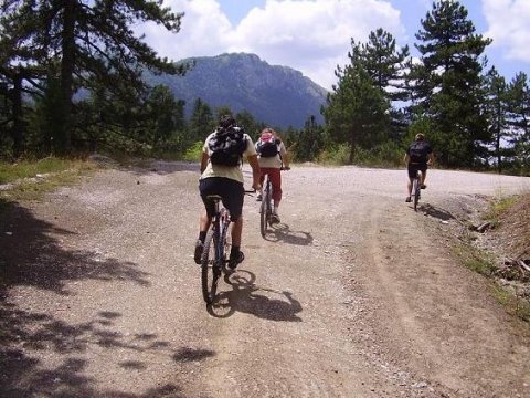 Mountain Bike Tour Elati Grece Ποδηλασία.jpg6