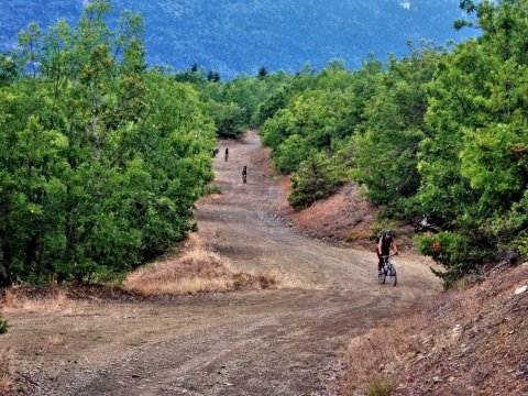 Mountain Bike Tour Elati Grece Ποδηλασία.jpg5