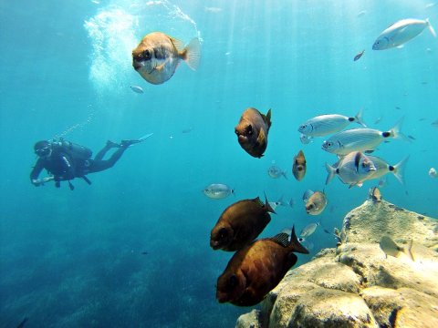 Try Scuba Diving Santorini καταδυσεις Greece Atlantis Discover center.jpg3