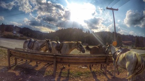 Horse riding pertouli Ιππασια Greece extreme αλογα.jpg7