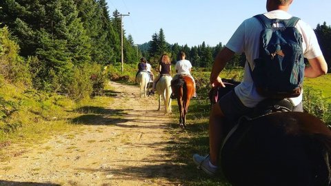 Horse riding pertouli Ιππασια Greece extreme αλογα.jpg4