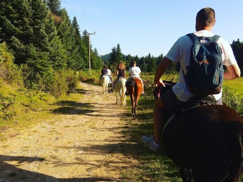 Horse riding pertouli Ιππασια Greece extreme αλογα.jpg4