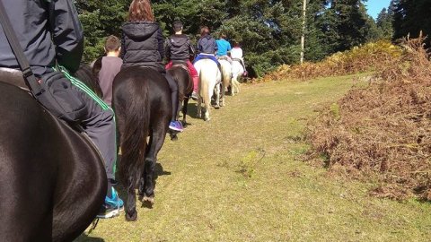 Horse riding pertouli Ιππασια Greece extreme αλογα.jpg3