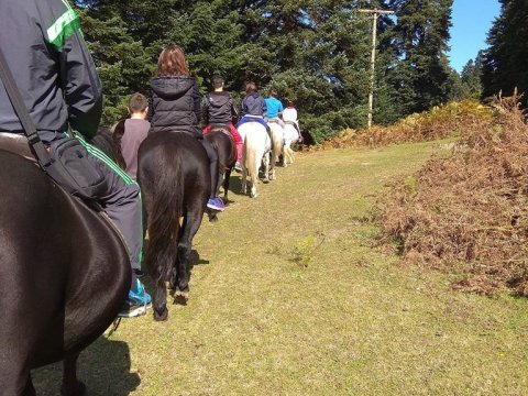 Horse riding pertouli Ιππασια Greece extreme αλογα.jpg3