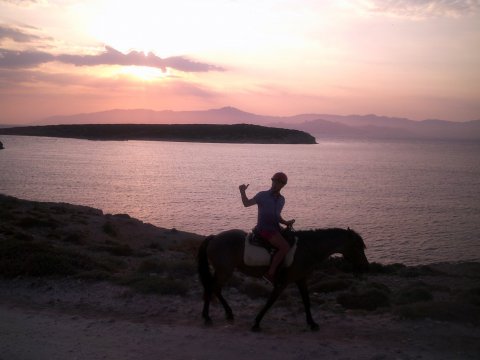 Horse Riding Paros Greece Kokou Ιππασία Αλογα.jpg12