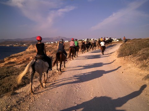 Horse Riding Paros Greece Kokou Ιππασία Αλογα.jpg9