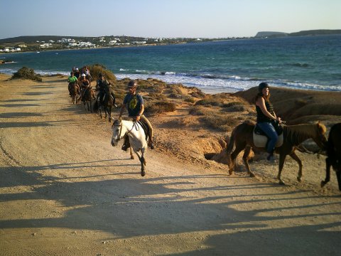 Horse Riding Paros Greece Kokou Ιππασία Αλογα.jpg8