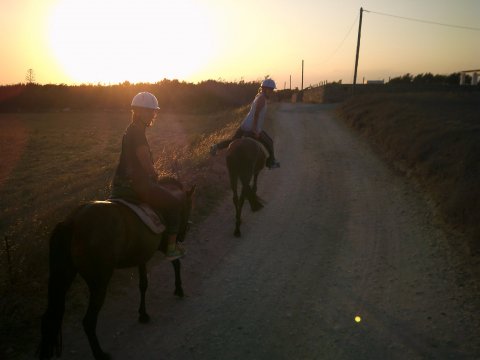 Horse Riding Paros Greece Kokou Ιππασία Αλογα.jpg6