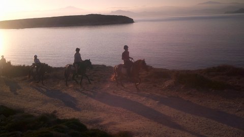 Ιππασία κατά την Ανατολή του Ηλίου Πάρος