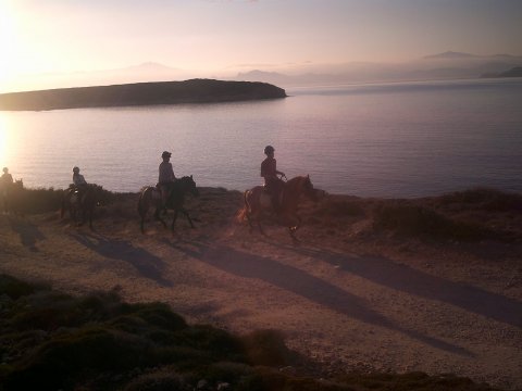 Horse Riding Paros Greece Kokou Ιππασία Αλογα.jpg5