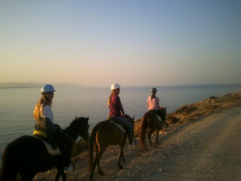 Horse Riding Paros Greece Kokou Ιππασία Αλογα