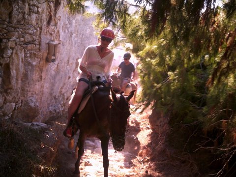 Horse Riding Tour Paros Kokou Greece ιππασια αλογα sunset.jpg7