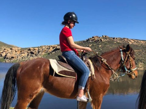 Mykonos Horse Riding Tour Greece Ιππασια Αλογα.jpg11